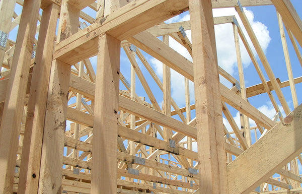 Pre-Drywall Inspection